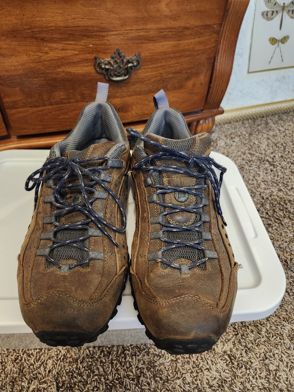 Men's Merrell Trail Shoes